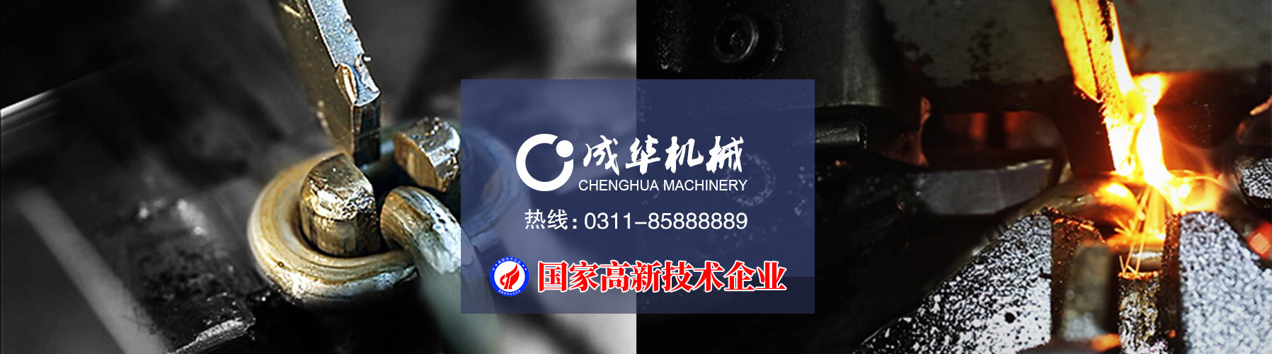 草莓视频色版APP草莓视频网页版污