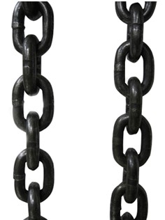 起重草莓视频网页版污实例图